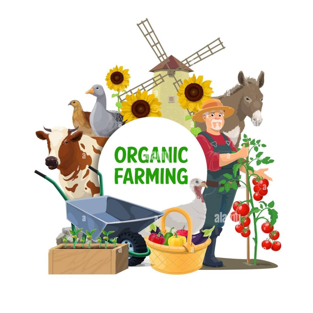 farmer with farm animals and vegetables vector icon of agriculture and organic farming design cow goose and garden harvest basket with tomatoes and 2emd89j
